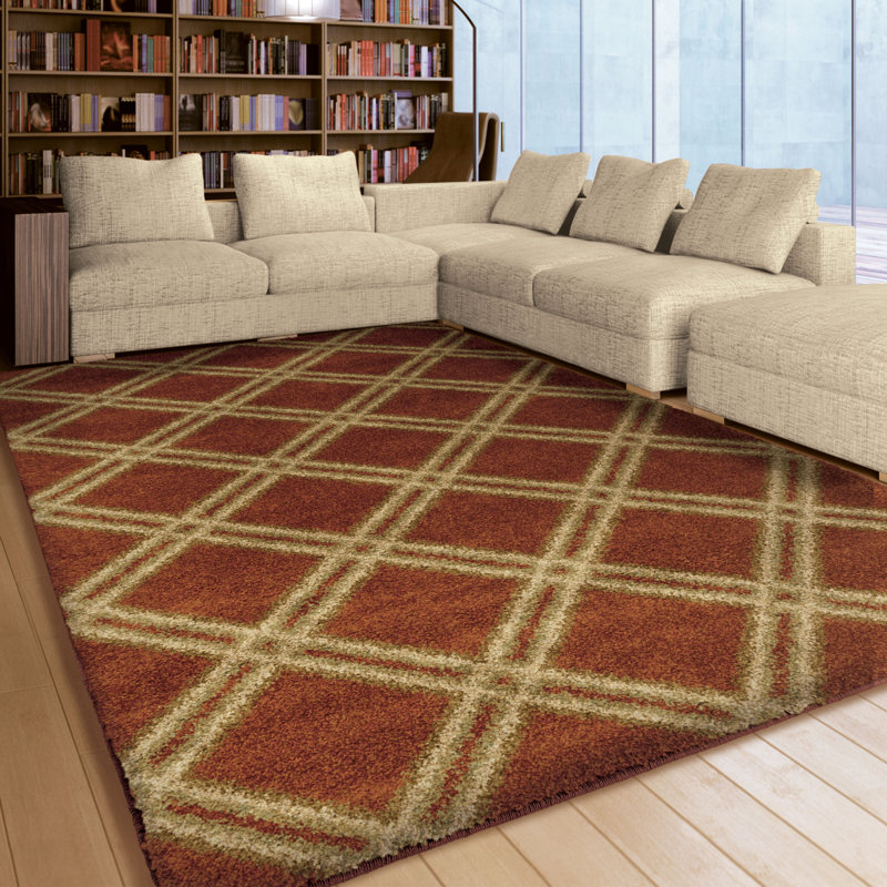 Darby Home Co Menominee Shag Burnt Orange Area Rug & Reviews Wayfair